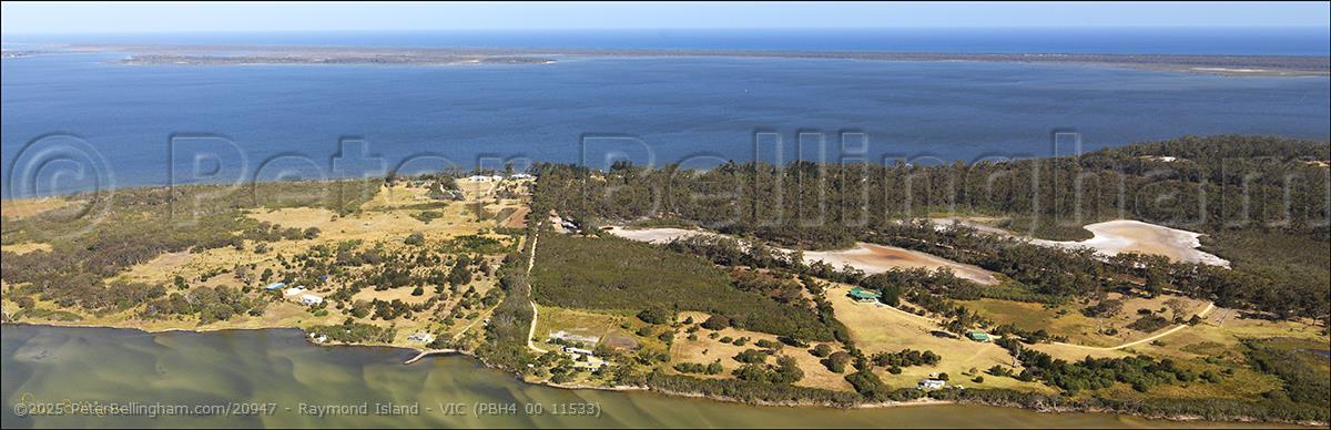 Peter Bellingham Photography Raymond Island - VIC (PBH4 00 11533)
